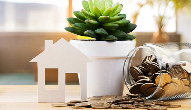 Fonctionnement de l’investissement en Imnp